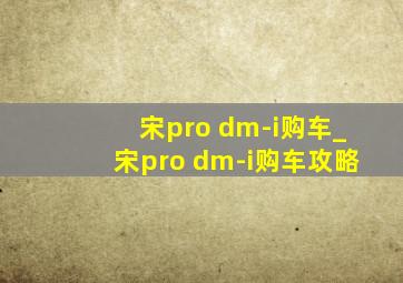 宋pro dm-i购车_宋pro dm-i购车攻略